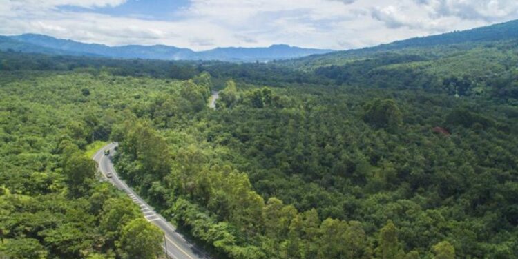 El Gobierno reitera compromiso para la prevención de incendios forestales