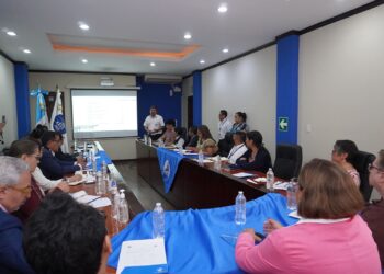 INE presenta resultados de prueba piloto de Encabih