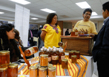 Mipymes se fortalecen con plan de digitalización. /Foto: DCA