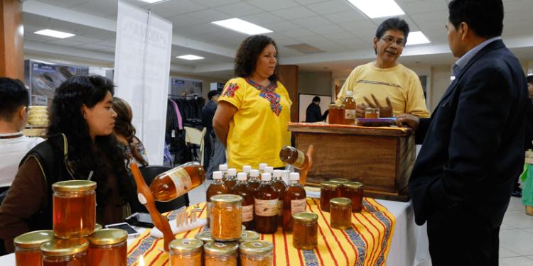 Mipymes se fortalecen con plan de digitalización. /Foto: DCA