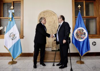 Ejecutivo reitera acompañamiento de la OEA durante proceso de transición