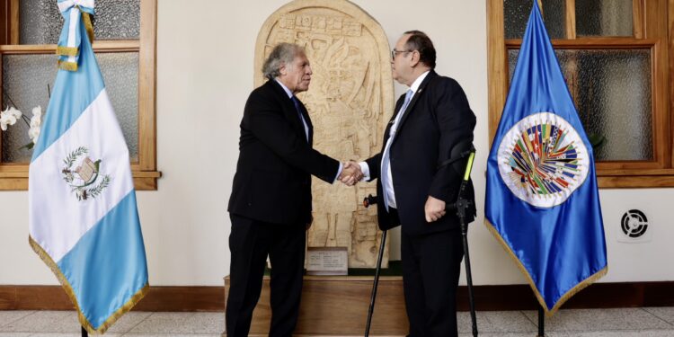 Ejecutivo reitera acompañamiento de la OEA durante proceso de transición