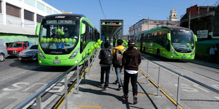 Este domingo el transporte será gratuito en algunas rutas