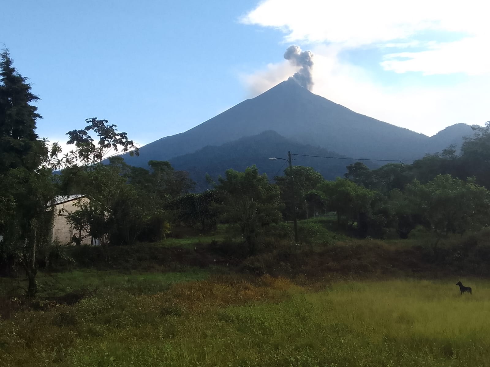 Caída de ceniza y explosiones débiles en volcanes Fuego y Santiaguito