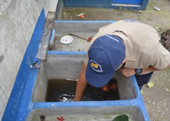 Fumigación para prevenir el dengue en Escuela República de Austria, proyectos 4-4, zona 6. / Foto: MSPAS.