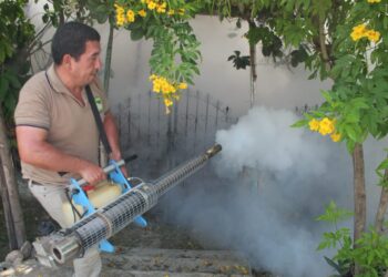 Petén continúa reforzando acciones para prevenir el dengue