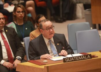 Guatemala se pronunció a favor de la paz en Ucrania. / Foto: ONU.