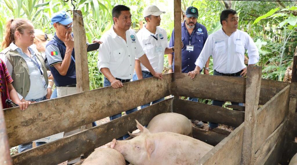 Fortalecen proyecto que contribuye al desarrollo económico local en Huehuetenango