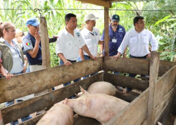 Fortalecen proyecto que contribuye al desarrollo económico local en Huehuetenango