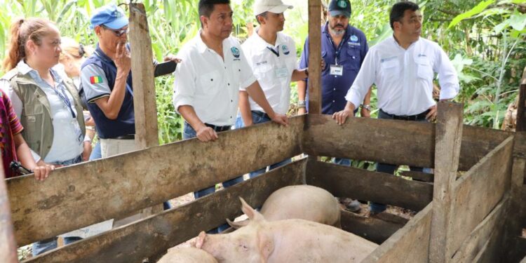 Fortalecen proyecto que contribuye al desarrollo económico local en Huehuetenango