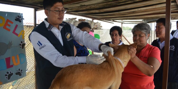 Anuncian jornada de vacunación contra la rabia que llegará a 3.5 millones de perros. / Foto: MSPAS.