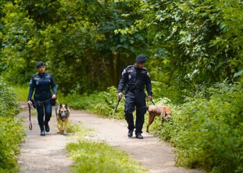 Binomios K-9 brindan seguridad en el territorio nacional