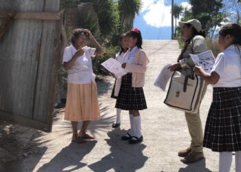 Desarrollan acciones para la prevención del dengue. /Foto: MSPAS