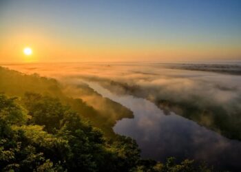 Los humedales o sitios Ramsar son áreas inundables de gran importancia. / Foto: Flaar Guatemala, Conap.