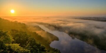 Los humedales o sitios Ramsar son áreas inundables de gran importancia. / Foto: Flaar Guatemala, Conap.