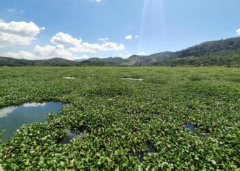 Laguna Chichoj, Alta Verapaz. / Foto: MARN.
