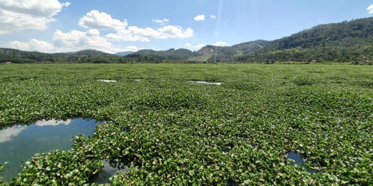 Laguna Chichoj, Alta Verapaz. / Foto: MARN.