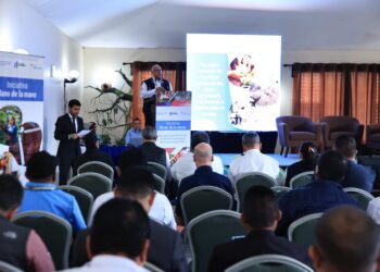 MAGA junto a la FAO desarrollan un mapeo de oportunidades