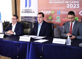 Maga y sector ganadero guatemalteco impulsan mejoramiento genético.