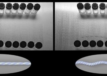 Extracto de la comparación de movilidad de los prototipos del robot. / Foto: Yin Lab NCSU.