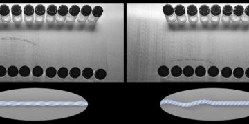 Extracto de la comparación de movilidad de los prototipos del robot. / Foto: Yin Lab NCSU.