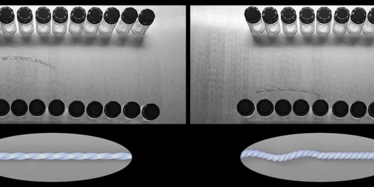 Extracto de la comparación de movilidad de los prototipos del robot. / Foto: Yin Lab NCSU.