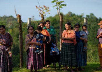 La mujer indígena tiene un rol importante. / Foto: SCSP.