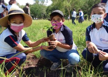 Sembrando Huella logra la plantación de más de 401 mil árboles. / Foto: Inab.