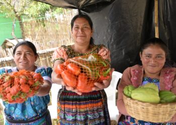 PMA informa sobre acciones a favor de la nutrición en la región. /Foto: Mineduc