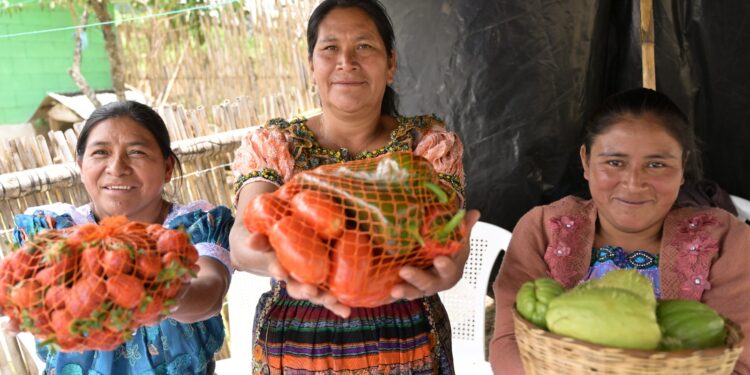 PMA informa sobre acciones a favor de la nutrición en la región. /Foto: Mineduc