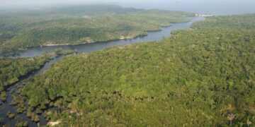 Amazónicos han heredado las prácticas de la tierra oscura, lo que ayuda a la agricultura. / Foto: EFE.