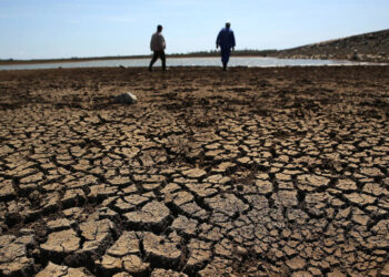 Adaptación a cambio climático y educación, retos de Centroamérica hacia la sostenibilidad