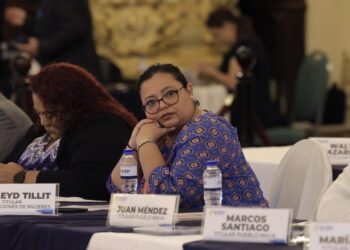 Representante de las organizaciones de mujeres. /Foto: Gilber García