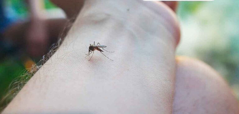 Recomendaciones para evitar nuevos casos de dengue. /Foto: MSPAS