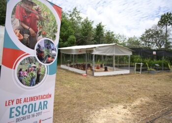Recientemente autoridades de educación y agricultura abrieron dos ETCAE en Quiché. /Foto: Álvaro Interiano