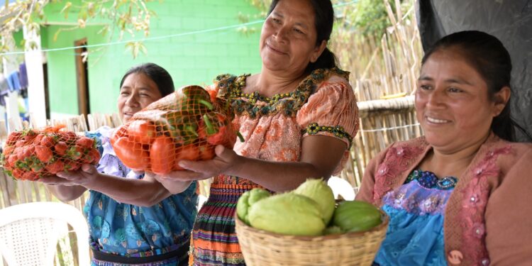 Autoridades refuerzan acciones para la seguridad alimentaria. /Foto: Álvaro Interiano