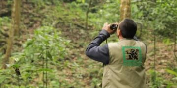 Guardarrecursos protegen la flora y fauna de Guatemala. / Foto: Conap.
