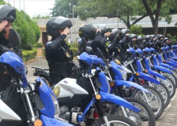 Día Internacional de la Cooperación Policial