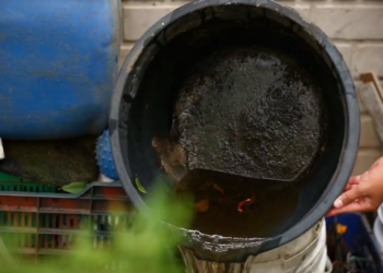 Combatir el dengue en casa es posible eliminando aguas estancadas. / Foto: MSPAS.