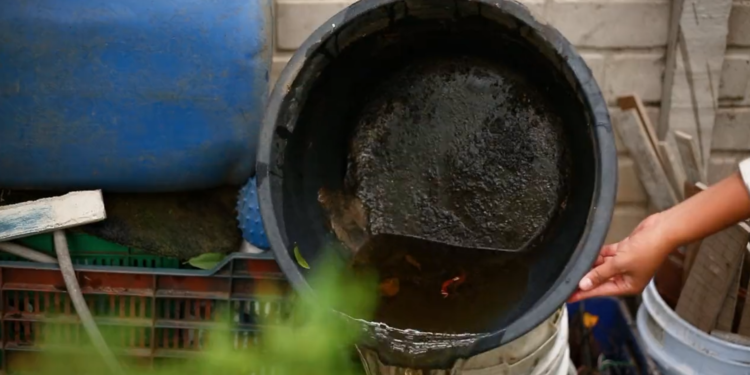 Combatir el dengue en casa es posible eliminando aguas estancadas. / Foto: MSPAS.