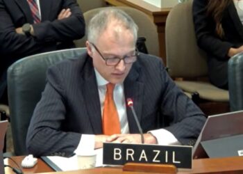 OEA: Brasil reconoce compromiso del Gobierno para el proceso de transición