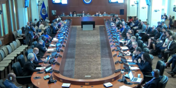 Guatemala presente en la sesión extraordinaria de la OEA. /Foto: Transmisión OEA