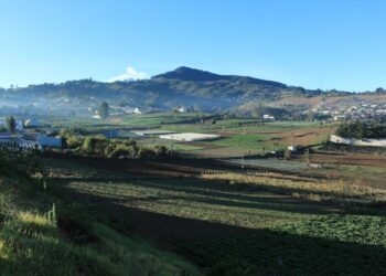 Desarrollan modelo para el uso y ocupación del suelo