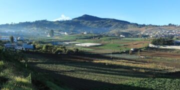 Desarrollan modelo para el uso y ocupación del suelo