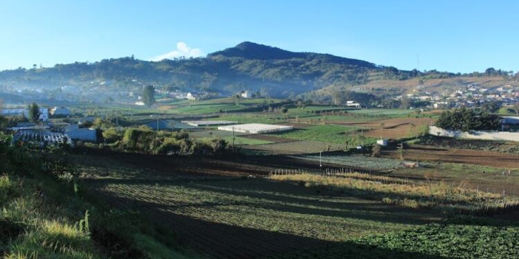 Desarrollan modelo para el uso y ocupación del suelo
