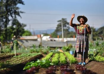 Hoy se conmemora el Día Mundial de las Mujeres Rurales