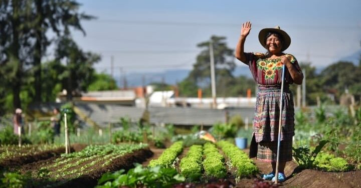 Hoy se conmemora el Día Mundial de las Mujeres Rurales