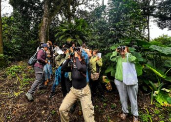 Mujeres participan en avistamiento de aves. /Foto: Inguat