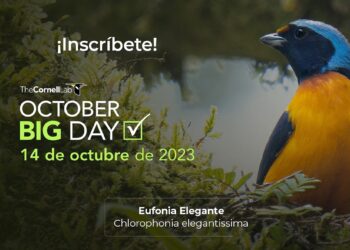 Celebración a la observación de aves. /Foto: Inguat