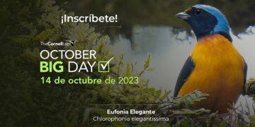 Celebración a la observación de aves. /Foto: Inguat